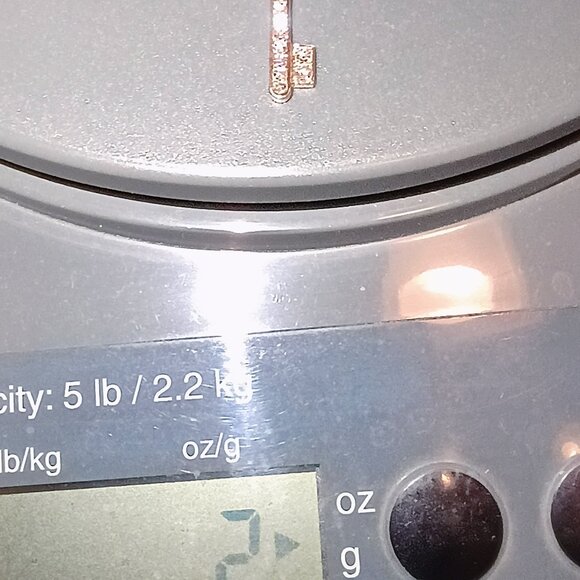 Tiffany & Co. 18K Rose Gold DIamonds Fleur de Lis Key Pendant - Picture 12 of 13